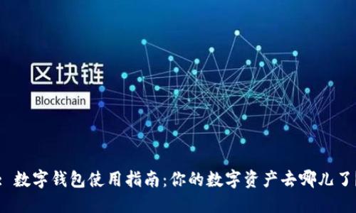 : 数字钱包使用指南：你的数字资产去哪儿了？