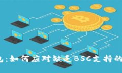 TP钱包：如何应对缺乏BS