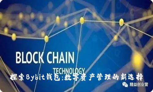 探索Bybit钱包：数字资产管理的新选择