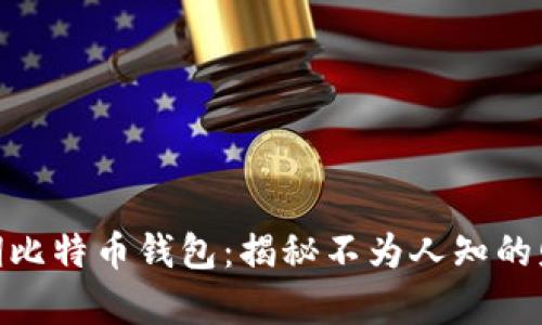 破解早期比特币钱包：揭秘不为人知的财富之谜