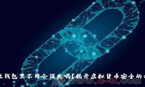 比特币放钱包里不用会消失吗？揭开虚拟货币安全的神秘面纱