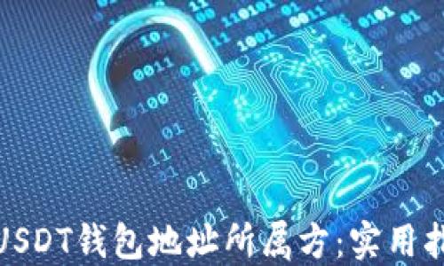 
如何查询USDT钱包地址所属方：实用指南和步骤