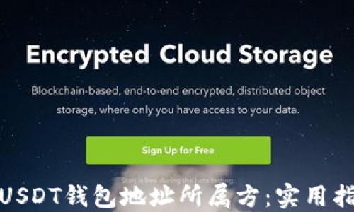 
如何查询USDT钱包地址所属方：实用指南和步骤