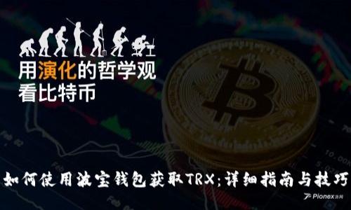 如何使用波宝钱包获取TRX：详细指南与技巧