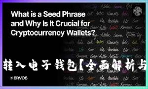 屎币可否转入电子钱包？全面解析与使用指南