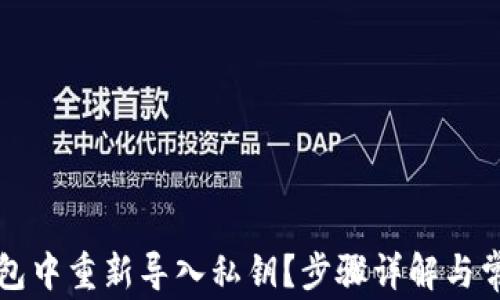 
如何在TP钱包中重新导入私钥？步骤详解与常见问题解析