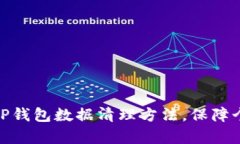 : 全面解析TP钱包数据清理