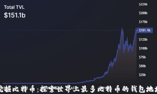 
挖掘比特币：探索世界上最多比特币的钱包地址