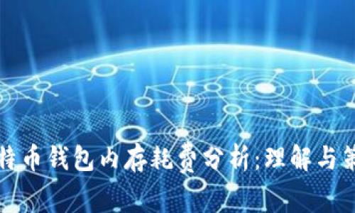 比特币钱包内存耗费分析：理解与策略