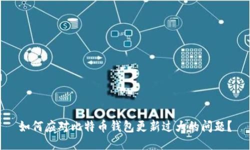 如何应对比特币钱包更新过大的问题？