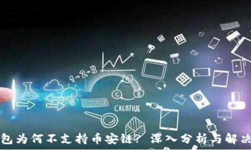   
TP钱包为何不支持币安链? 深入分析与解决方案