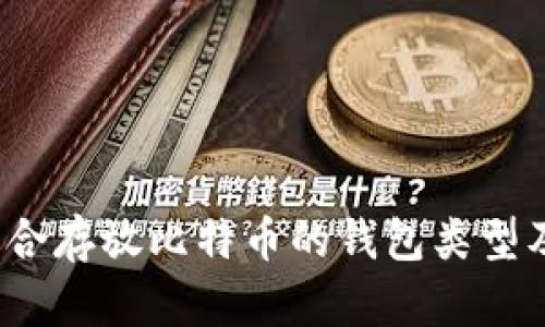 深入探索：适合存放比特币的钱包类型及其选择指南