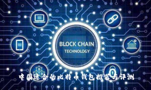 中国适合的比特币钱包推荐与评测