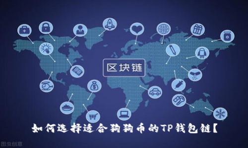 如何选择适合狗狗币的TP钱包链？