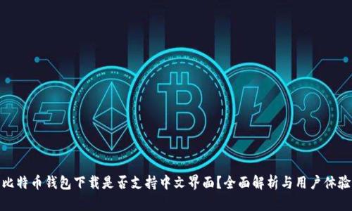 比特币钱包下载是否支持中文界面？全面解析与用户体验