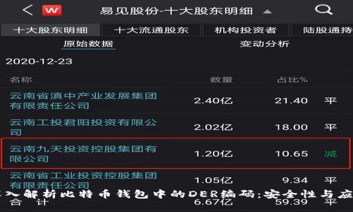 深入解析比特币钱包中的DER编码：安全性与应用