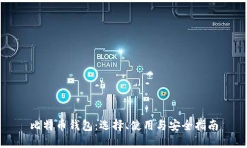 比特币钱包：选择、使用与安全指南