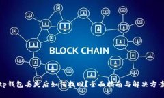 tp钱包丢失后如何找回？全面指南与解决方案