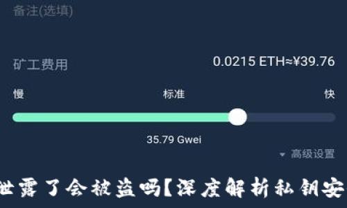   
t p钱包私钥泄露了会被盗吗？深度解析私钥安全与防护策略