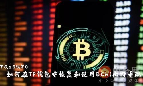 logradouro  
    如何在TP钱包中恢复和使用BCH（比特币现金）